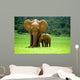 Elephant Mother With Cub Wall Mural