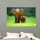 Elephant Mother With Cub Wall Mural