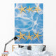 Starfish Border Wall Mural