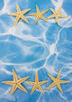 Starfish Border Wall Mural