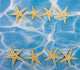 Starfish Border Wall Mural