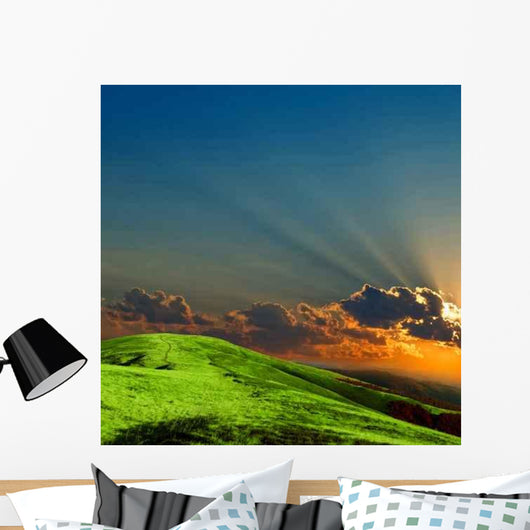 Blue and Orange Wall Decal