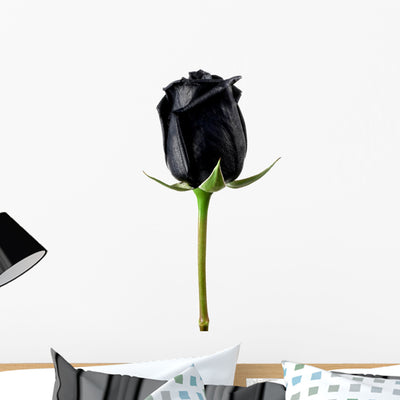 Black Rose Wall Decal shown on a wall