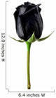 Black Rose Wall Decal