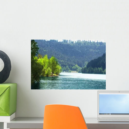 Forest and Water Nagoldtalsperre Wall Decal
