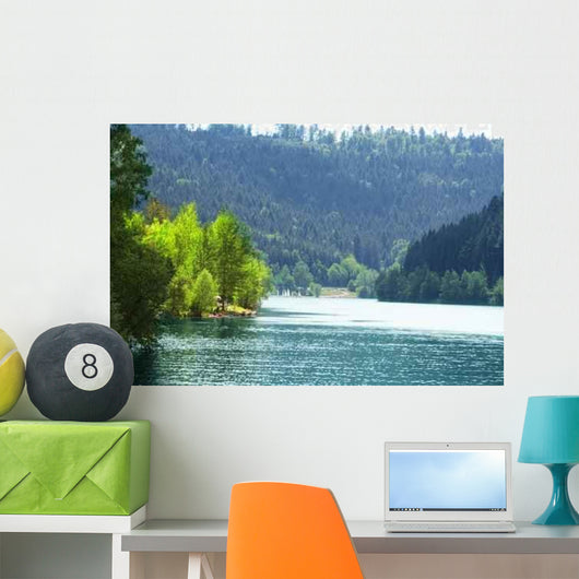 Forest and Water Nagoldtalsperre Wall Decal