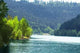 Forest and Water Nagoldtalsperre Wall Decal