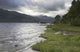 Loch Lomond Wall Decal