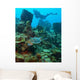 Diver with Turtle Wall Decal