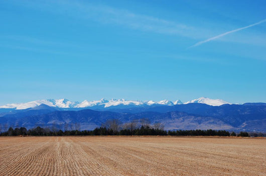 Agricultural Field with Mountains Wall Mural