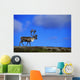 Caribou Walking On Hill Crest Wall Mural