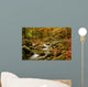 mountain river Wall Mural