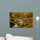 mountain river Wall Mural