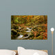 mountain river Wall Mural