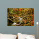 mountain river Wall Mural