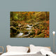 mountain river Wall Mural
