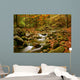 mountain river Wall Mural