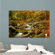 mountain river Wall Mural