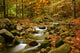 mountain river Wall Mural