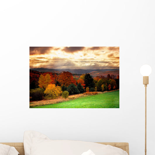 Vermont Fall Faliage Wall Mural