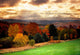 Vermont Fall Faliage Wall Mural