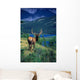 Elk In Summer By Mountain Lake Wall Mural