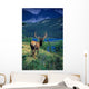 Elk In Summer By Mountain Lake Wall Mural