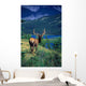 Elk In Summer By Mountain Lake Wall Mural