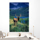 Elk In Summer By Mountain Lake Wall Mural