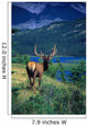 Elk In Summer By Mountain Lake Wall Mural