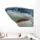 Pointy Shark Head Wall Decal