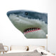 Pointy Shark Head Wall Decal