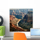 Colorado River Grand Canyon Wall Decal