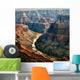Colorado River Grand Canyon Wall Decal