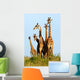 Family of Giraffes Wall Mural