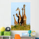 Family of Giraffes Wall Mural