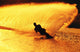 Man Waterskiing Wall Mural