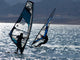 Windsurfing Wall Mural