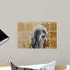 Razz Tries to Protect His Doo Wall Mural