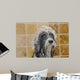 Razz Tries to Protect His Doo Wall Mural