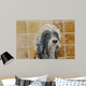Razz Tries to Protect His Doo Wall Mural
