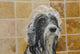 Razz Tries to Protect His Doo Wall Mural