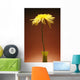 Flower In A Vase Wall Mural