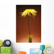 Flower In A Vase Wall Mural