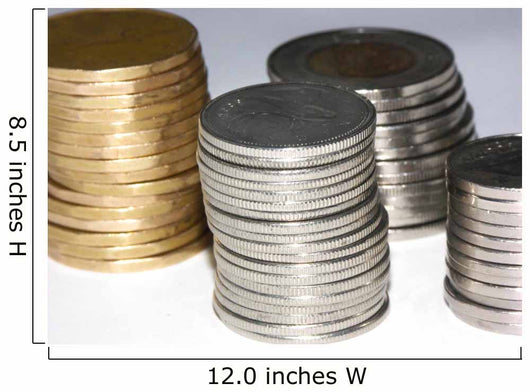 coins Wall Decal