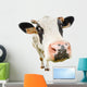 Funny Cute Nosey Cow Wall Decal