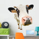 Funny Cute Nosey Cow Wall Decal