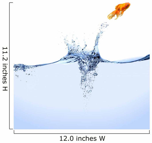 Jumping Goldfish Wall Mural
