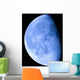 Blue Moon 4 Wall Decal