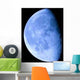 Blue Moon 4 Wall Decal